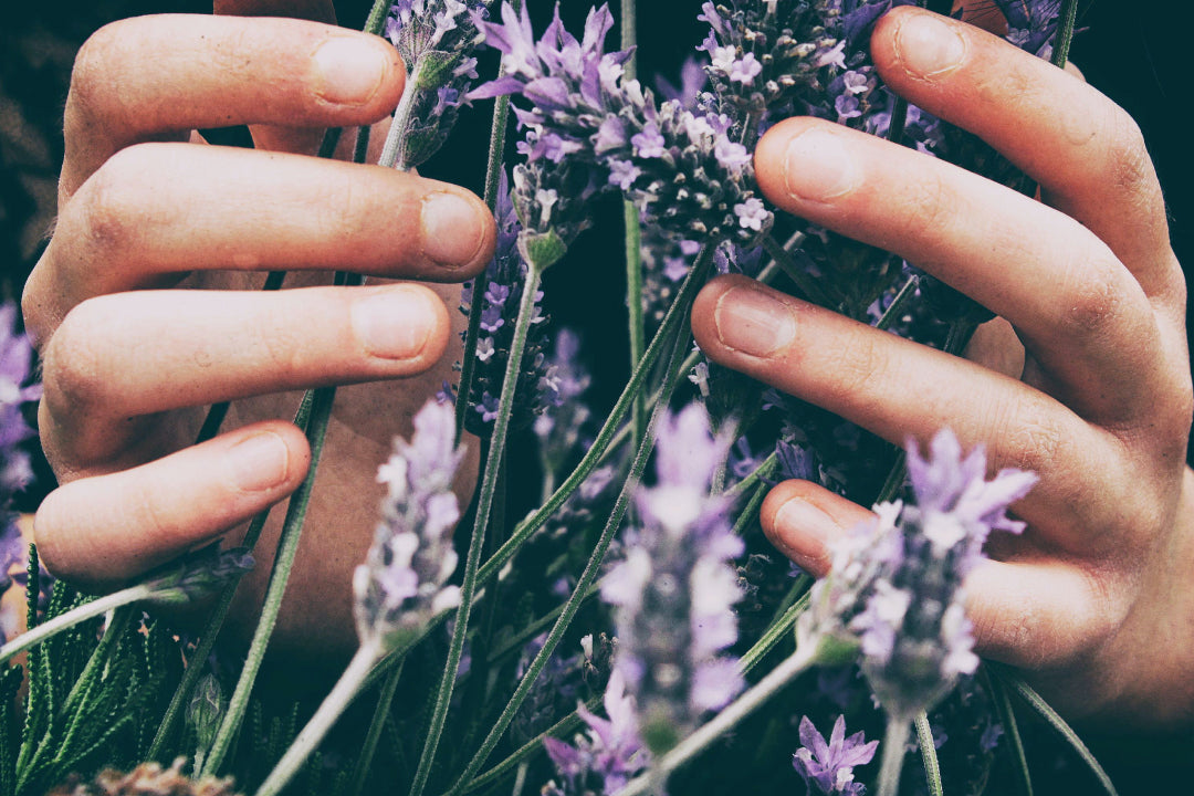 Mind Matters: Why introducing meditation in your nighttime skincare routine is beneficial for your mental and physical health.