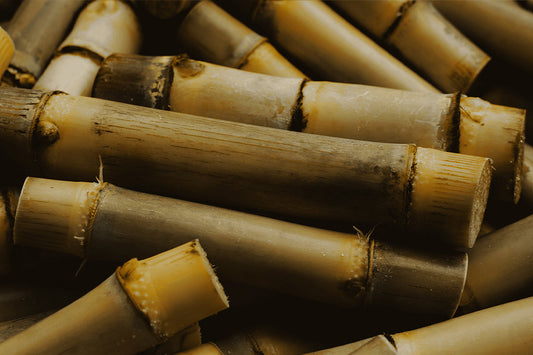 Spotlight on Our Indian Ingredients: Decoding the Real Goodness of Sugarcane for Your Skin