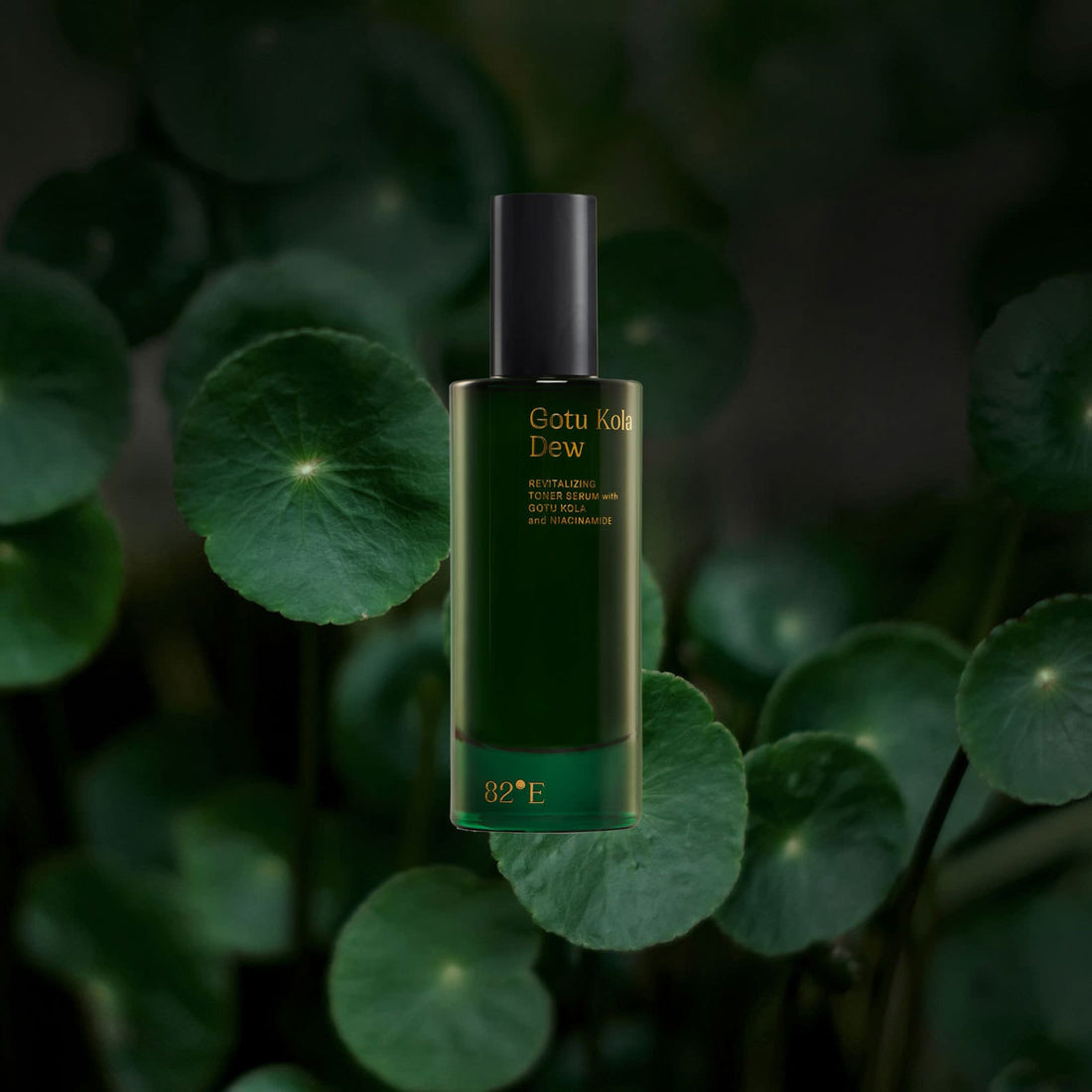 Gotu Kala Dew revitalizing toner serum